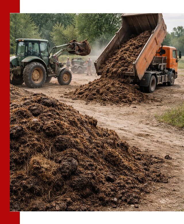 Доставка навоза самосвалами в Белореченске для сельхозпотребностей